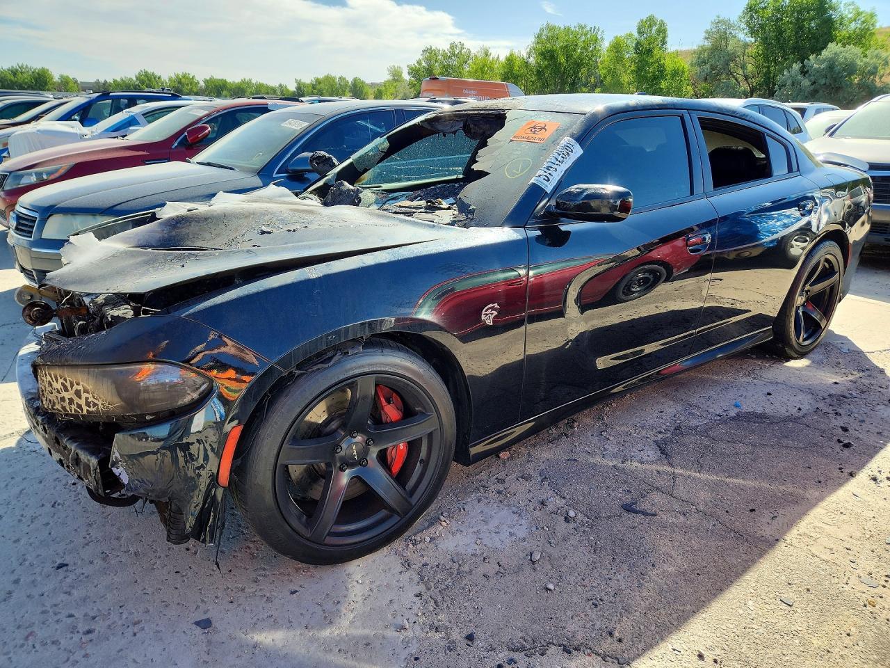 2019 DODGE CHARGER 2C3CDXL97KH668241