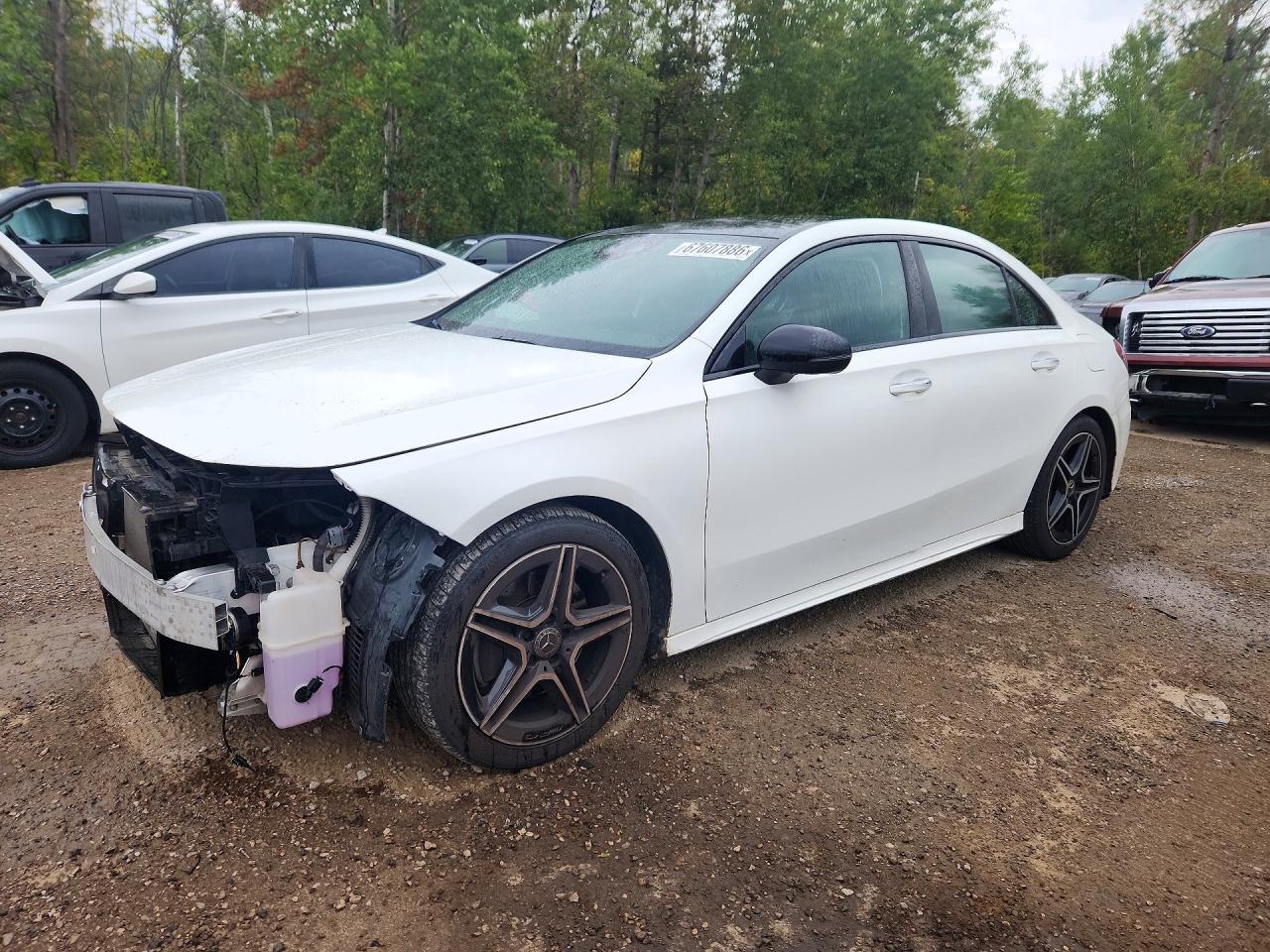 2019 MERCEDES-BENZ A WDD3G4FB5KW006049