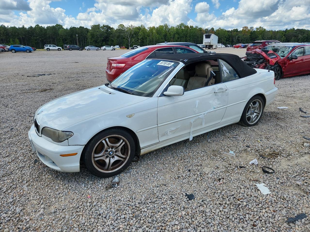 2006 BMW 330 WBABW53436PZ39319