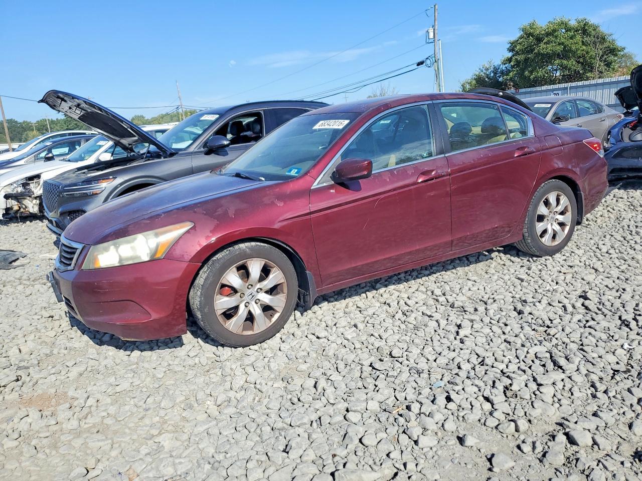 2010 HONDA ACCORD EXL