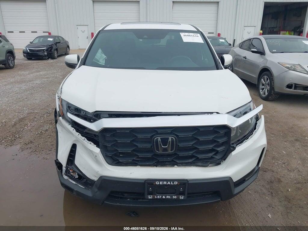 5FNYF8H59RB003123 2024 HONDA PASSPORT photo no. 12