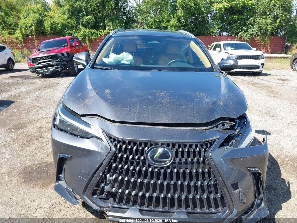2T2AGCEZ1SC062018 2025 LEXUS NX 350 photo no. 12