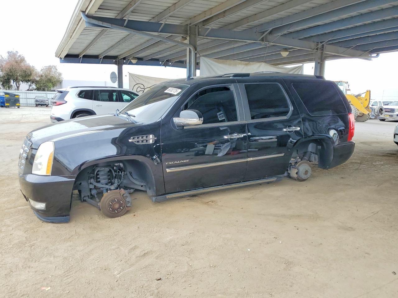2010 CADILLAC ESCALADE 1GYUCCEF9AR163454