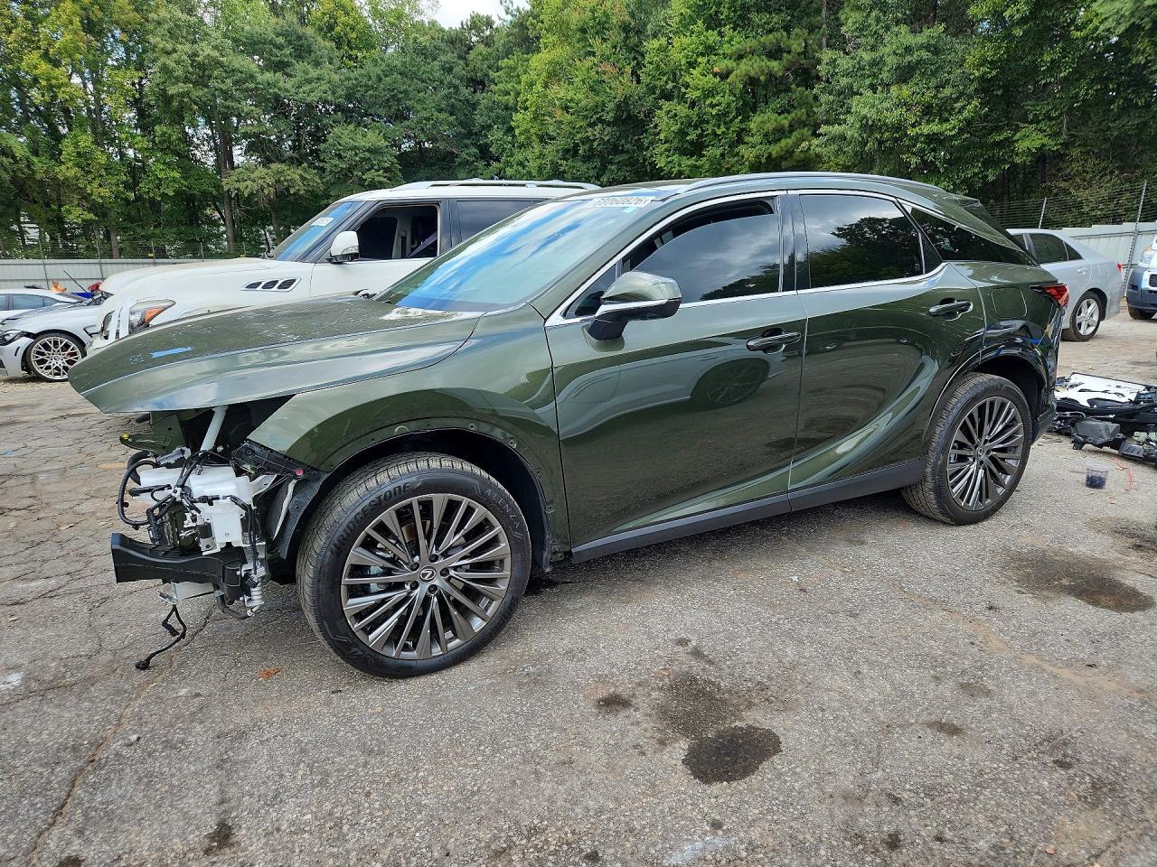 2025 LEXUS RX JTJCJMGA7S2024462