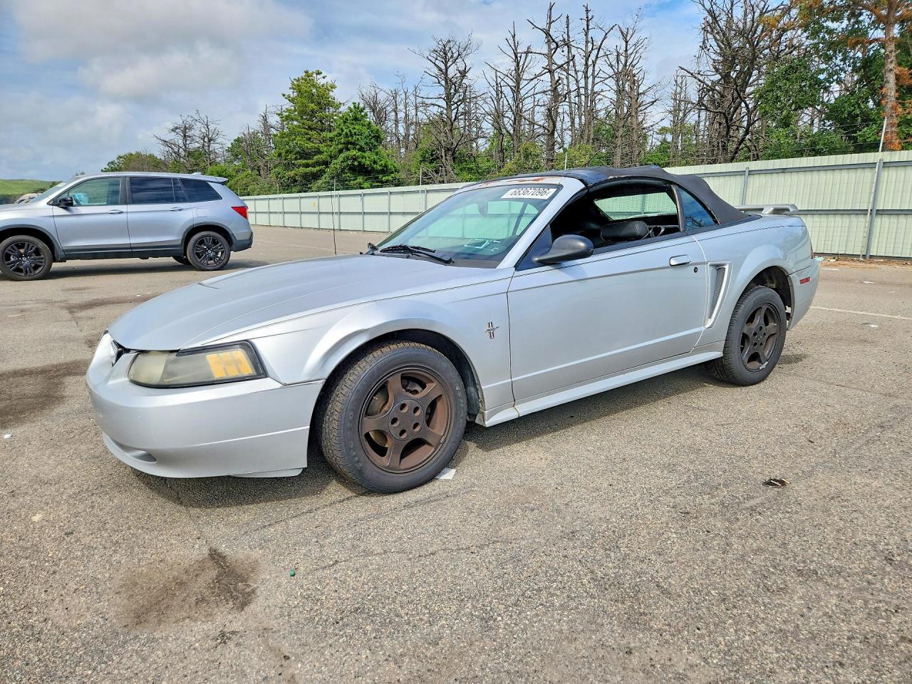 2003 FORD MUSTANG 1FAFP44453F314230