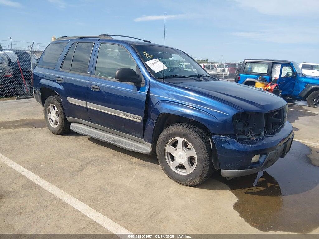 2002 CHEVROLET TRAILBLAZER 1GNDT13S222411880