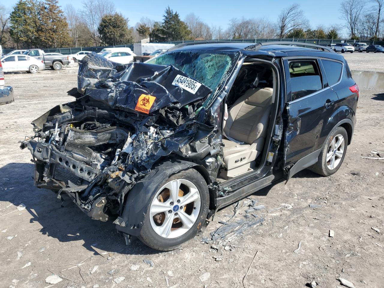 2014 FORD ESCAPE 1FMCU0GX8EUB38689