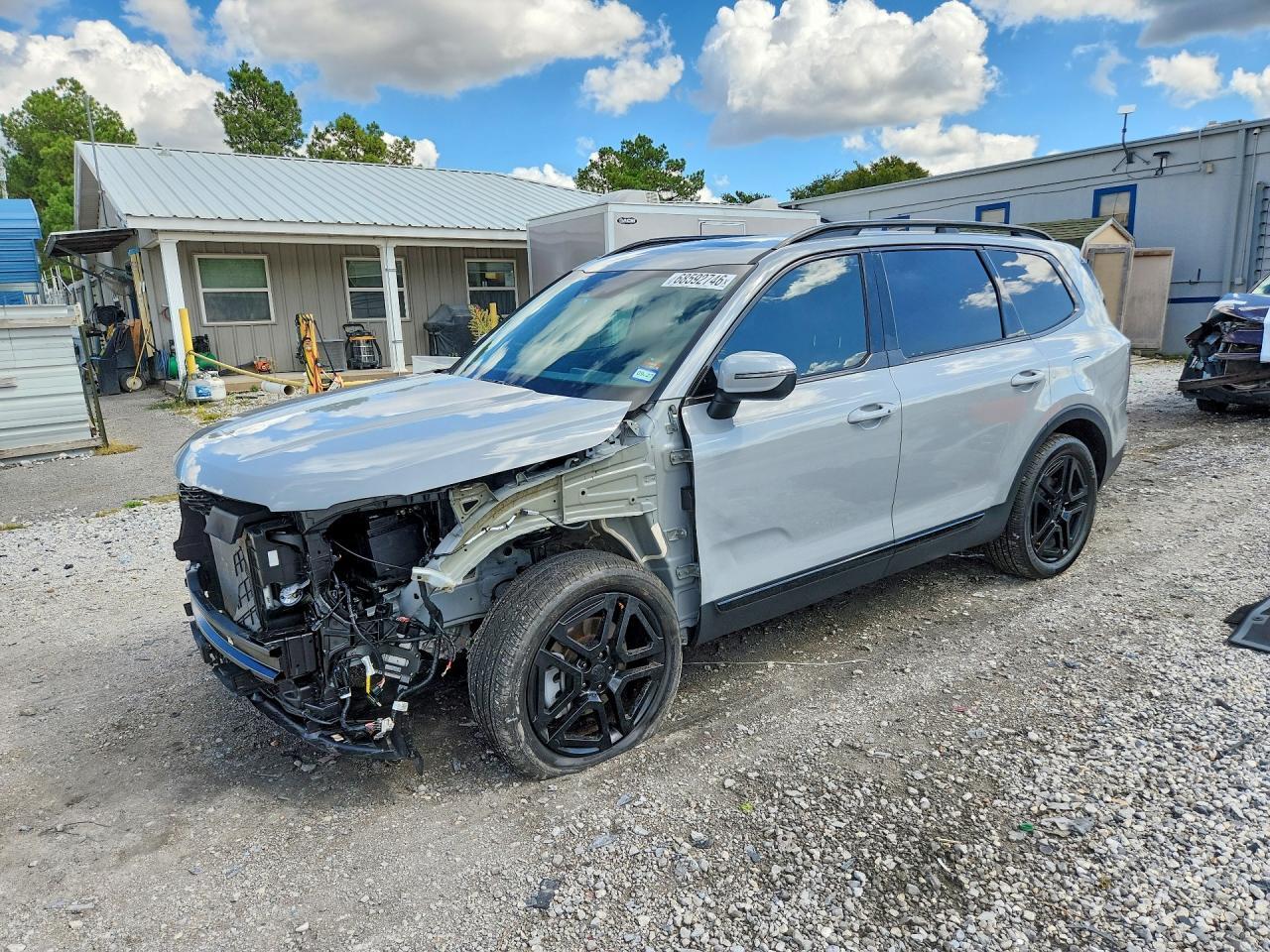 2025 KIA TELLURIDE 5XYP3DGC1SG695079