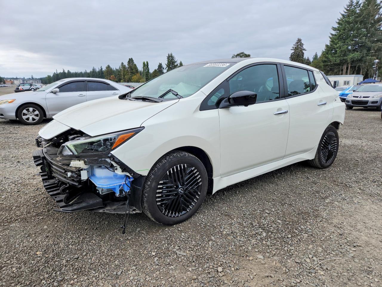 2025 NISSAN LEAF 1N4CZ1CVXSC561362