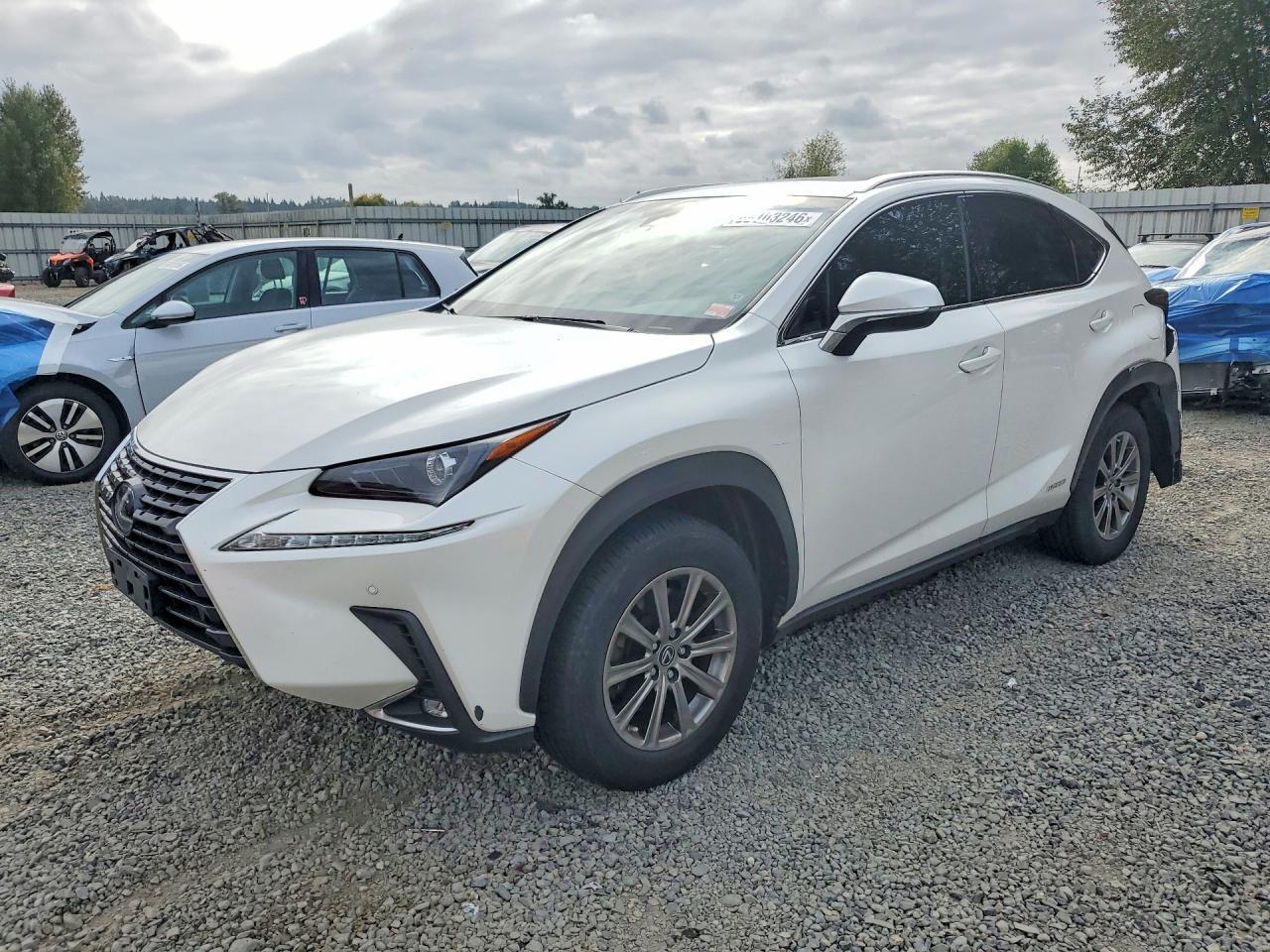2019 LEXUS NX JTJBJRBZ6K2109606