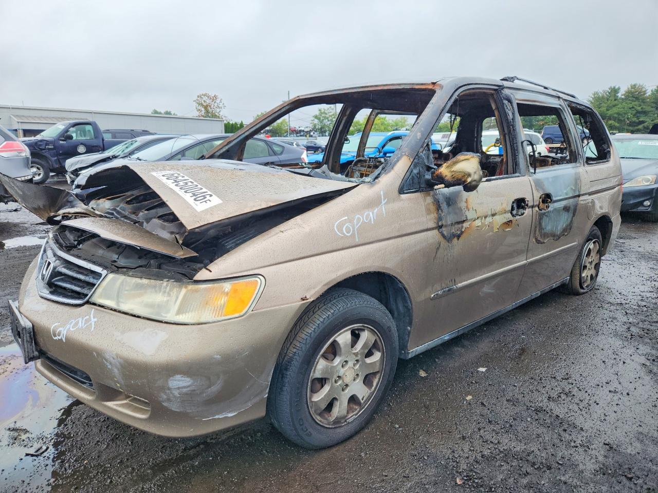 5FNRL18053B059429 2003 HONDA ODYSSEY photo no. 1