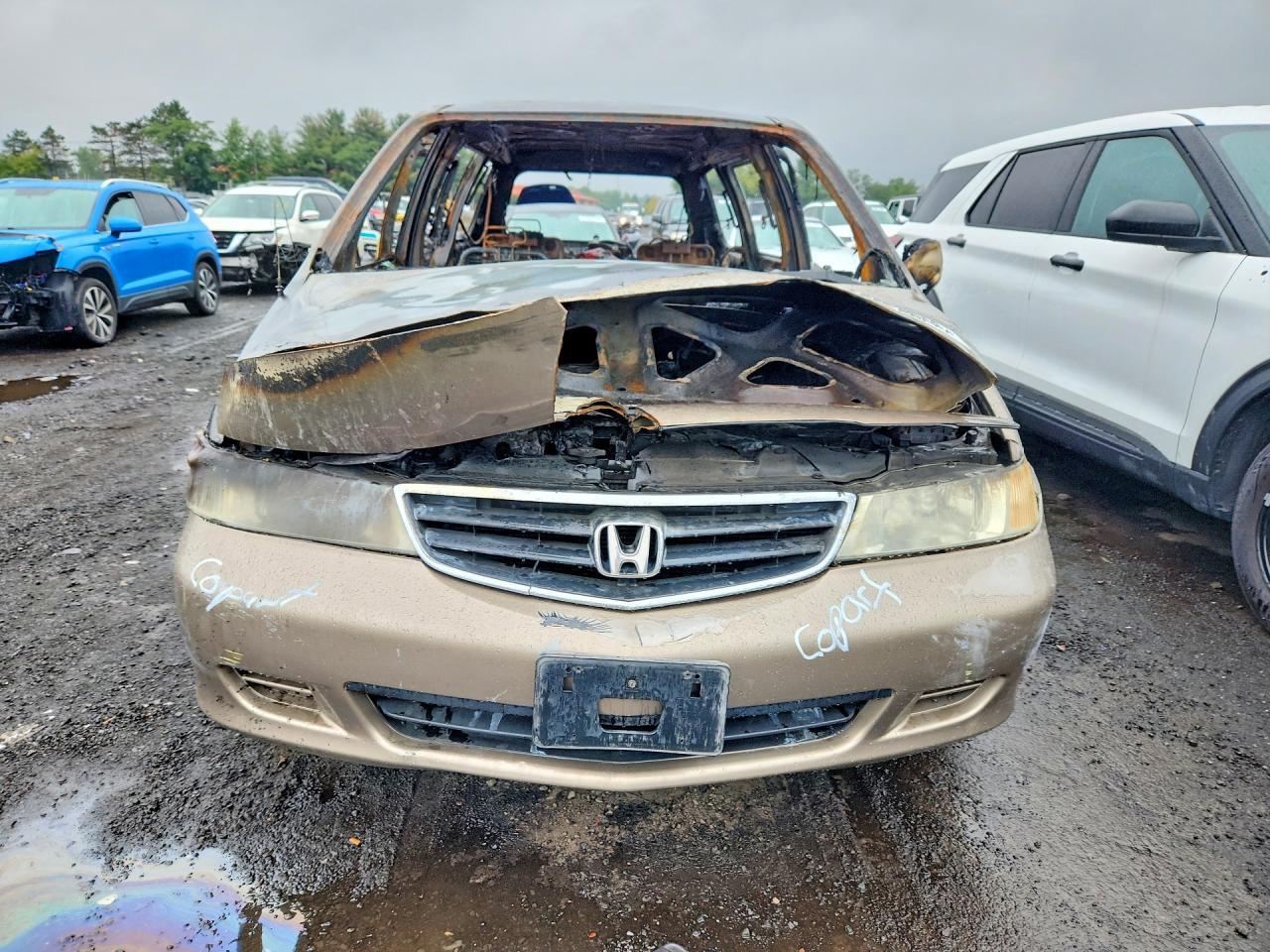 5FNRL18053B059429 2003 HONDA ODYSSEY photo no. 5