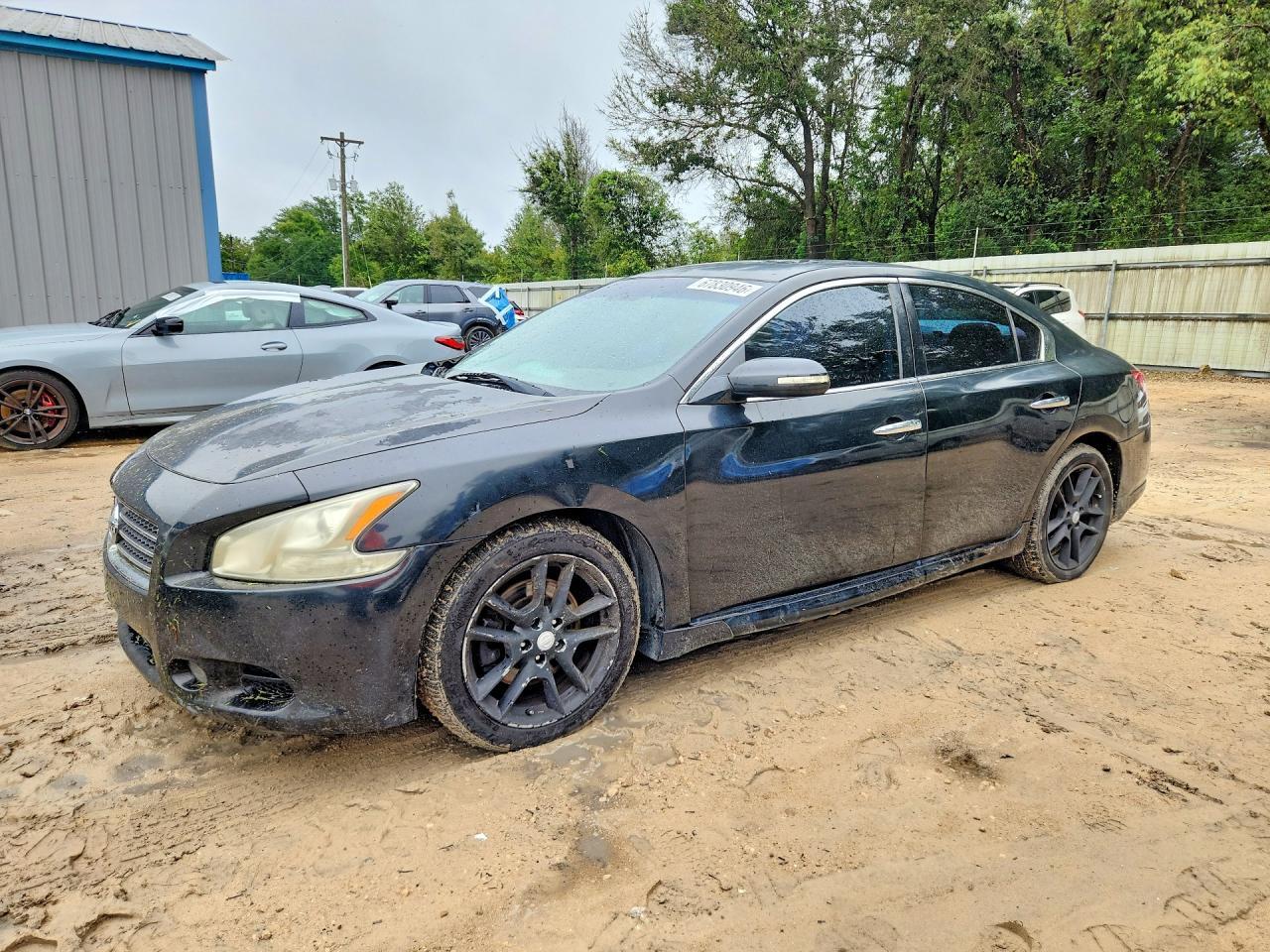 2011 NISSAN MAXIMA 1N4AA5AP5BC801346