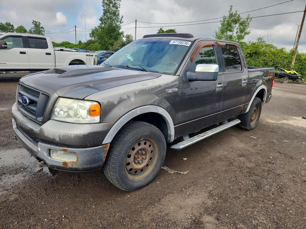 2005 FORD F150 1FTPW14565FB48828