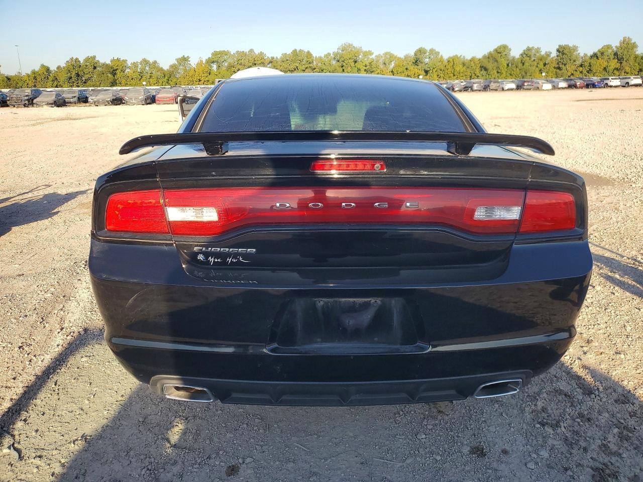 2C3CDXBG6DH678312 2013 DODGE CHARGER photo no. 6