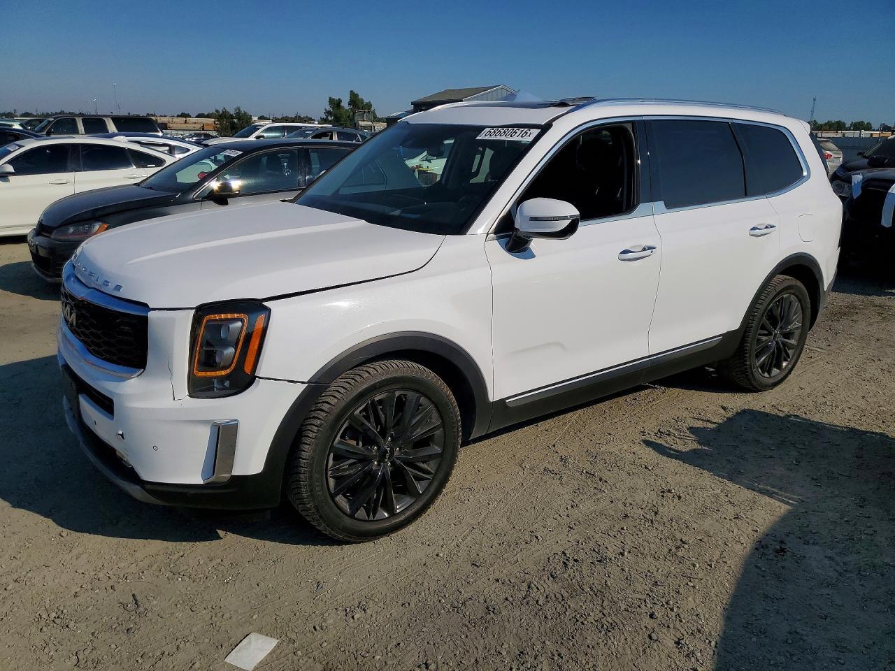 2022 KIA TELLURIDE 5XYP5DHC5NG198954