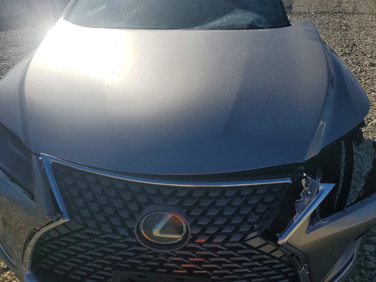 2021 LEXUS RX 350 — Фото 12 из 13