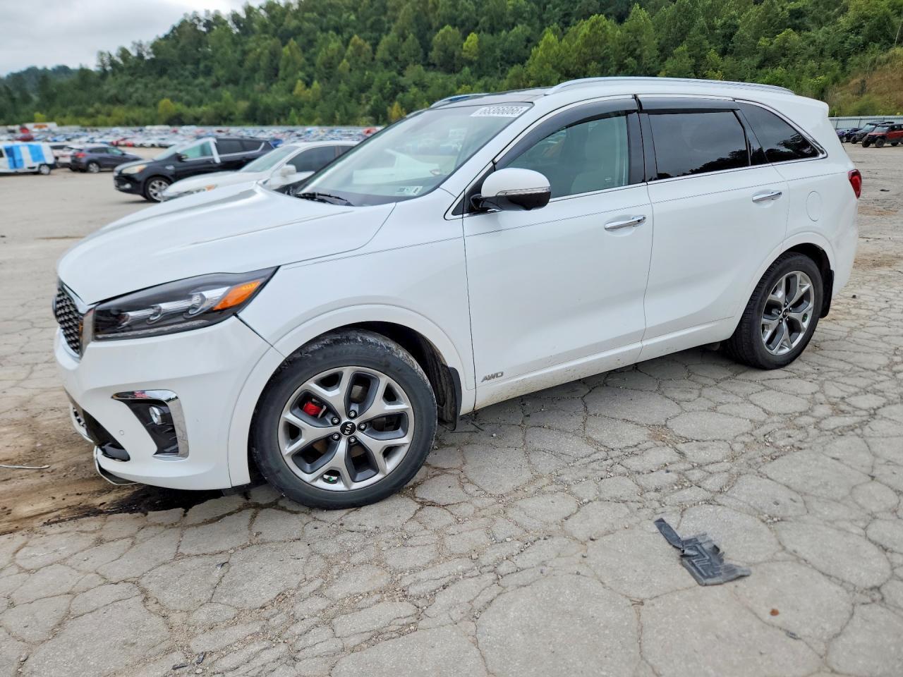 2019 KIA SORENTO 5XYPKDA51KG568023