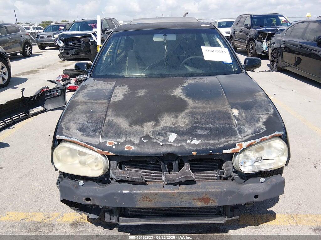 9BWDE61J024026094 2002 VOLKSWAGEN GTI photo no. 6