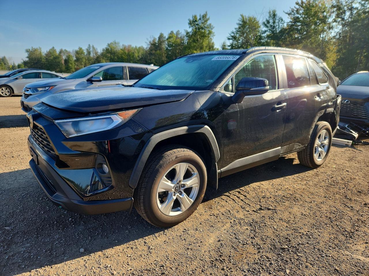 2020 TOYOTA RAV4 2T3W1RFV7LW060937