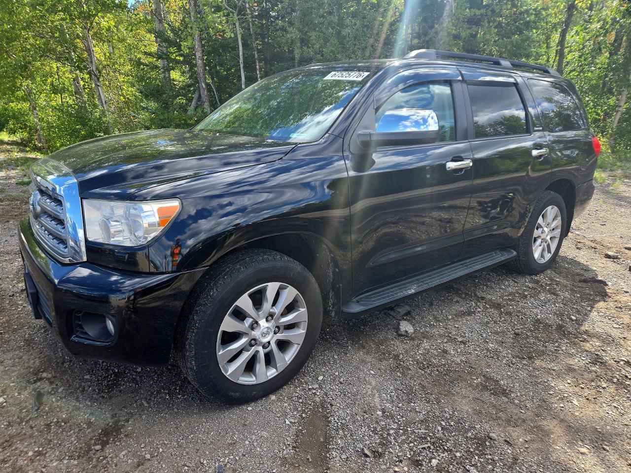 2013 TOYOTA SEQUOIA 5TDJY5G1XDS073162