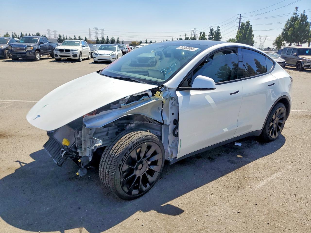 2023 TESLA MODEL Y 7SAYGDEE8PF589081