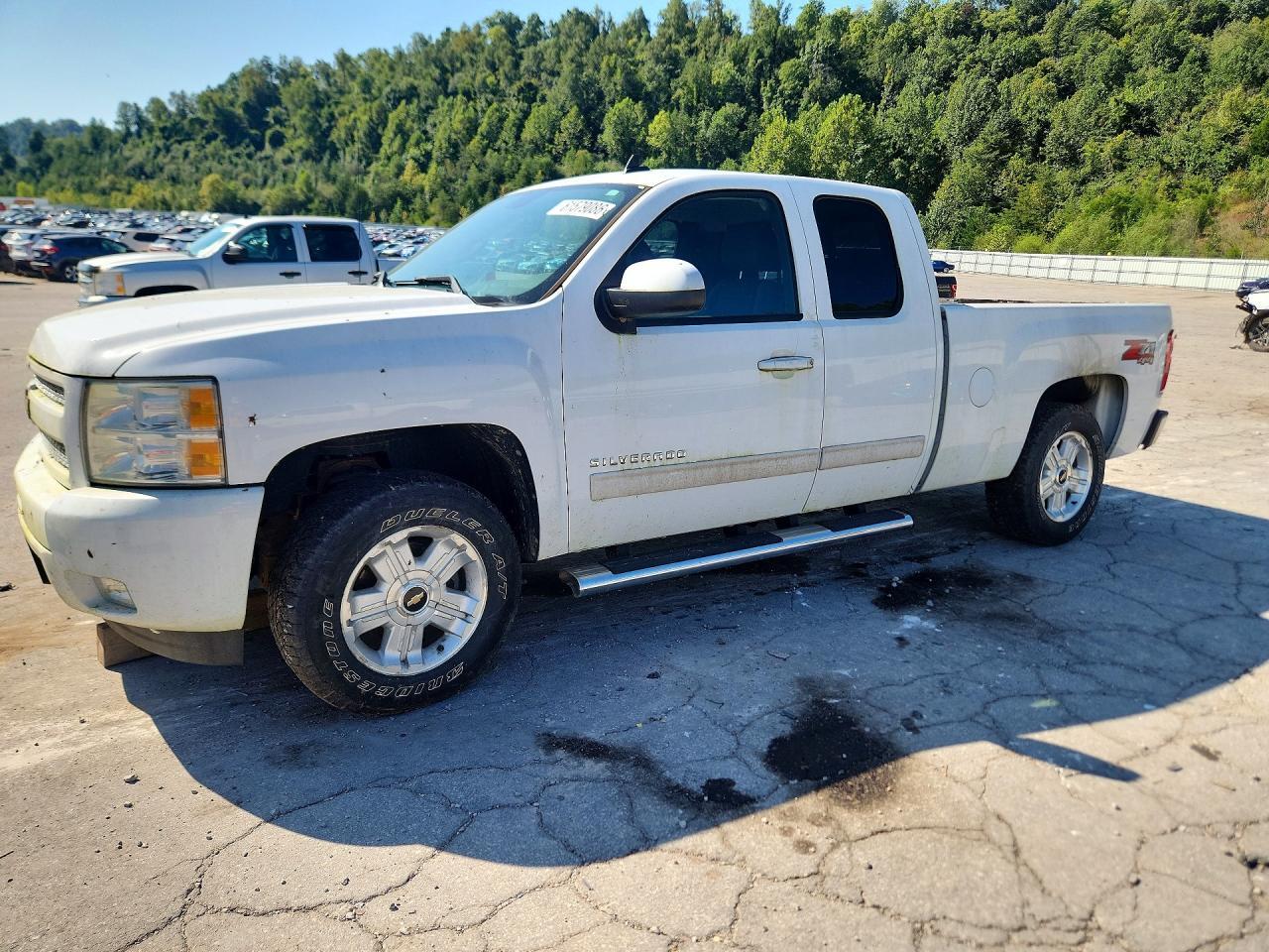 2009 CHEVROLET SILVERADO 1GCEK29J19Z284660