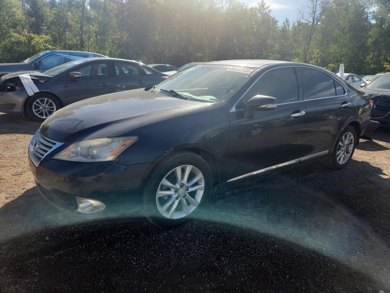 2010 LEXUS ES JTHBK1EG8A2361186