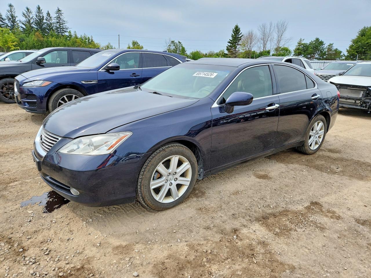 2008 LEXUS ES JTHBJ46G282162888