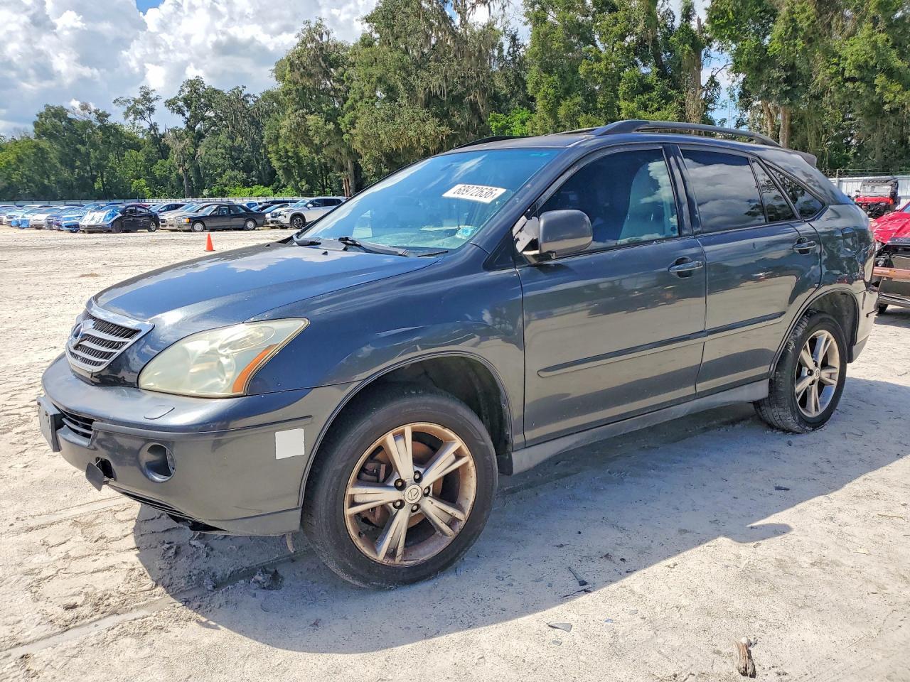2006 LEXUS RX JTJHW31U660001163