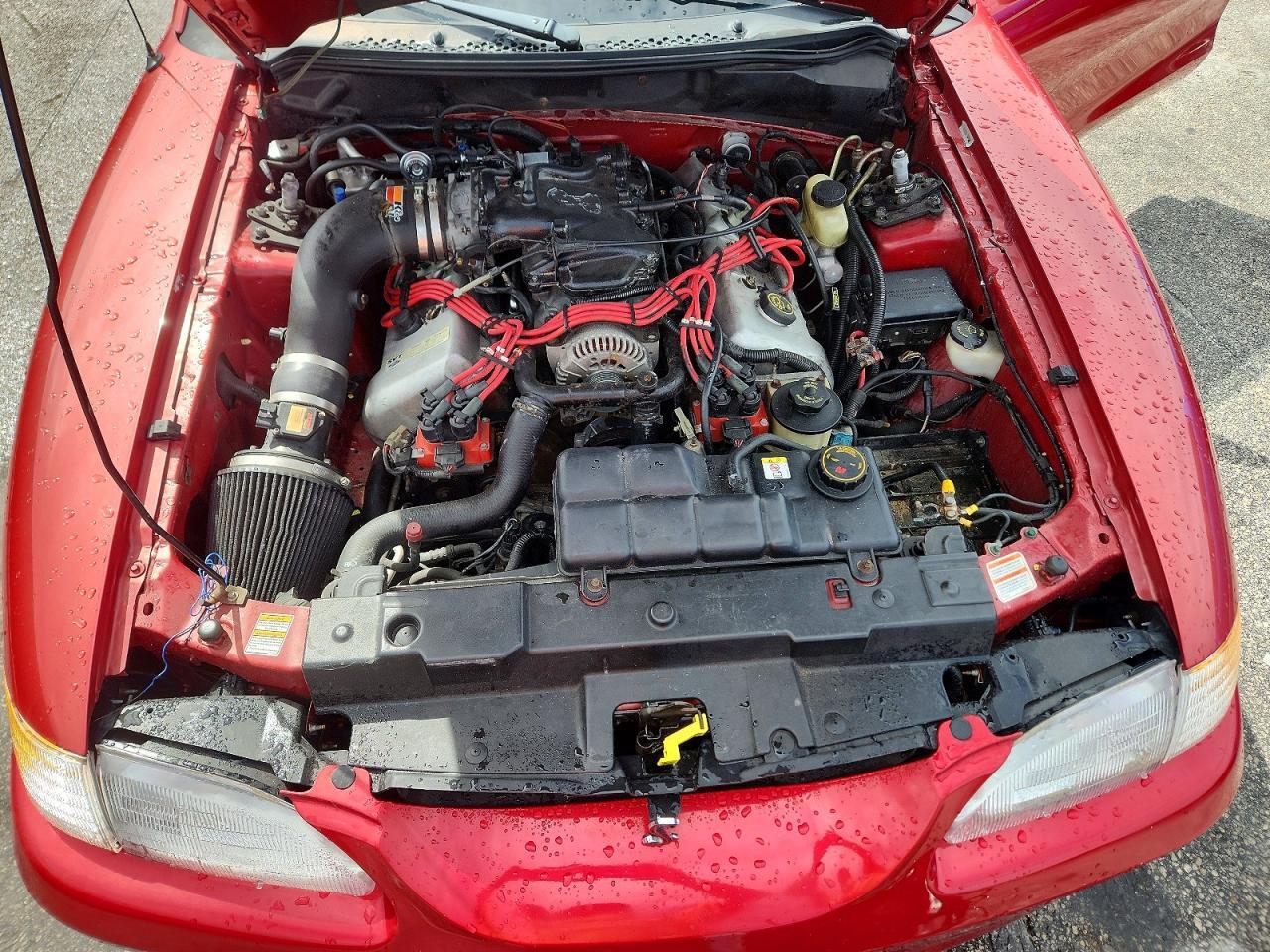1998 FORD MUSTANG COBRA — Фото 11 из 12
