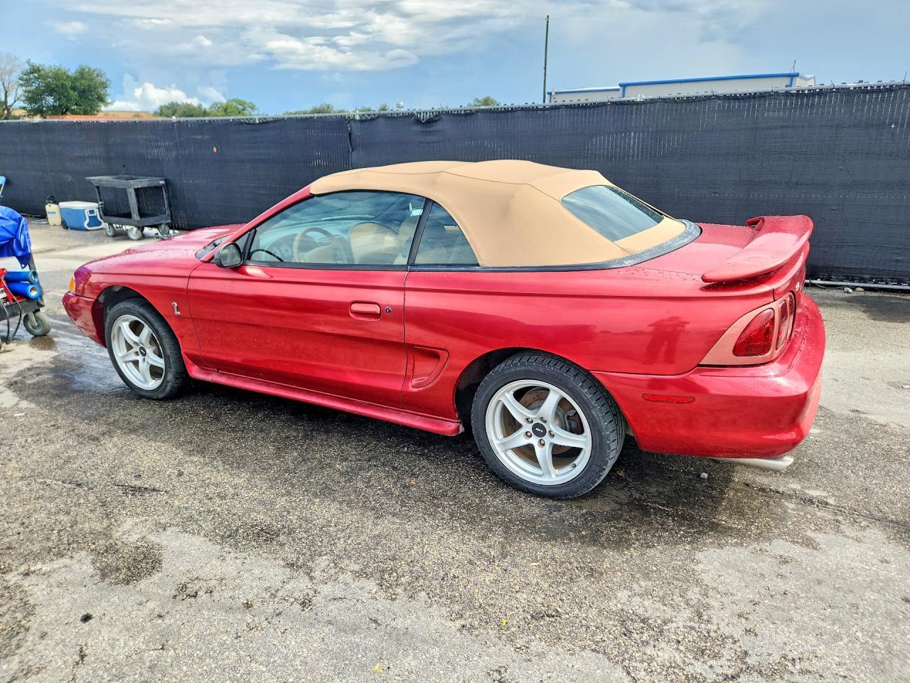 1998 FORD MUSTANG COBRA — Фото 2 из 12