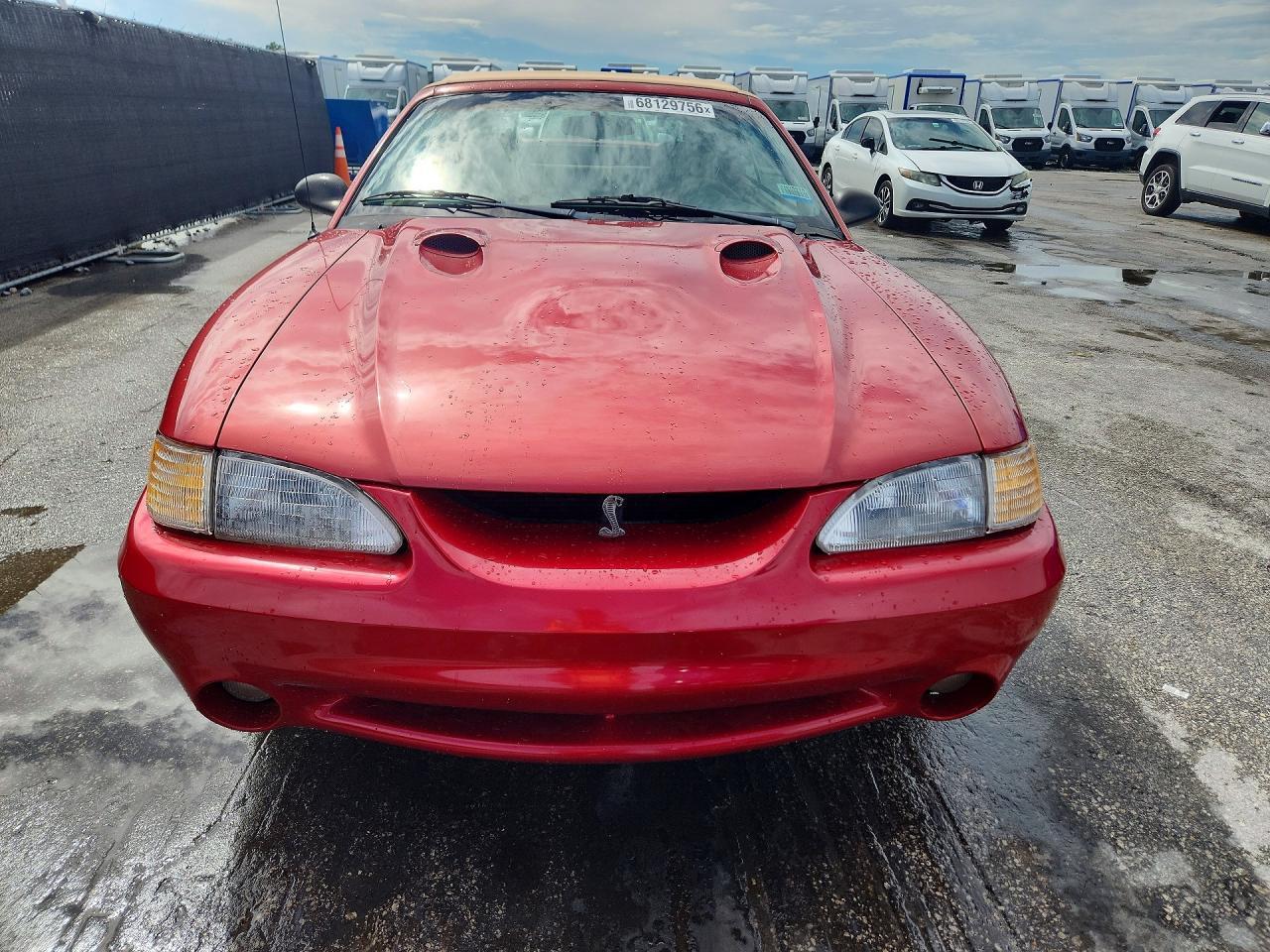 1998 FORD MUSTANG COBRA — Фото 5 из 12