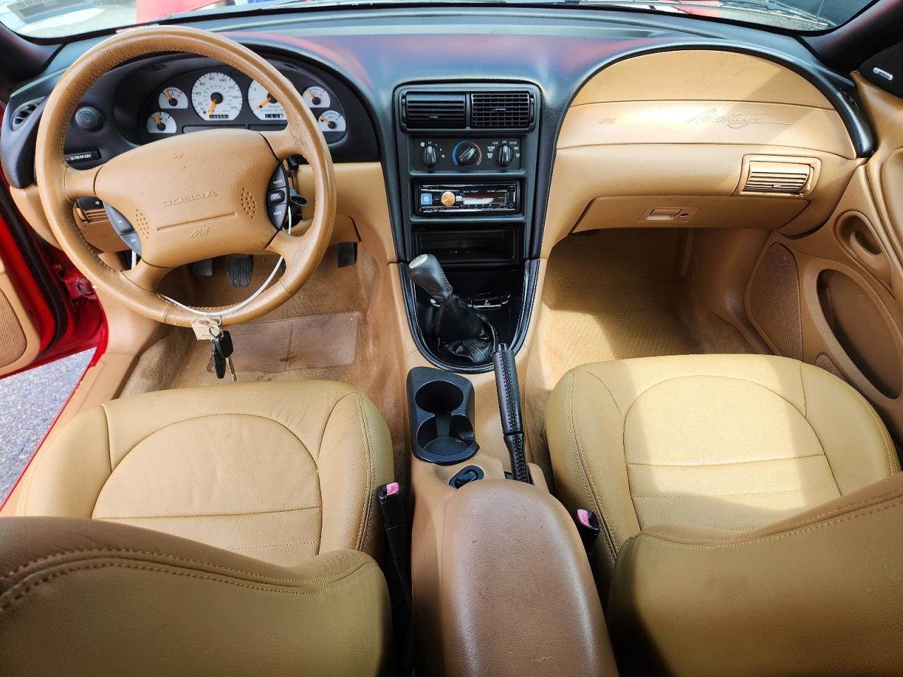 1998 FORD MUSTANG COBRA — Фото 8 из 12