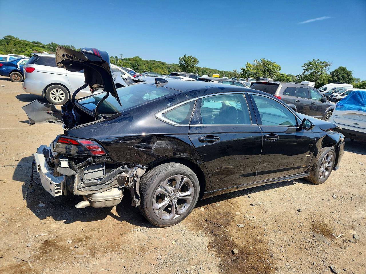 2025 HONDA ACCORD HYBRID EXL — Фото 3 из 13