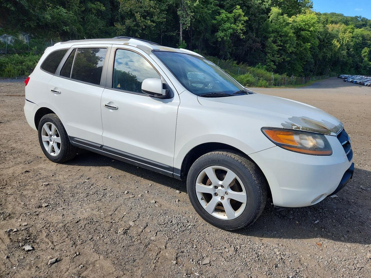 2009 HYUNDAI SANTA FE LIMITED — Фото 4 из 13