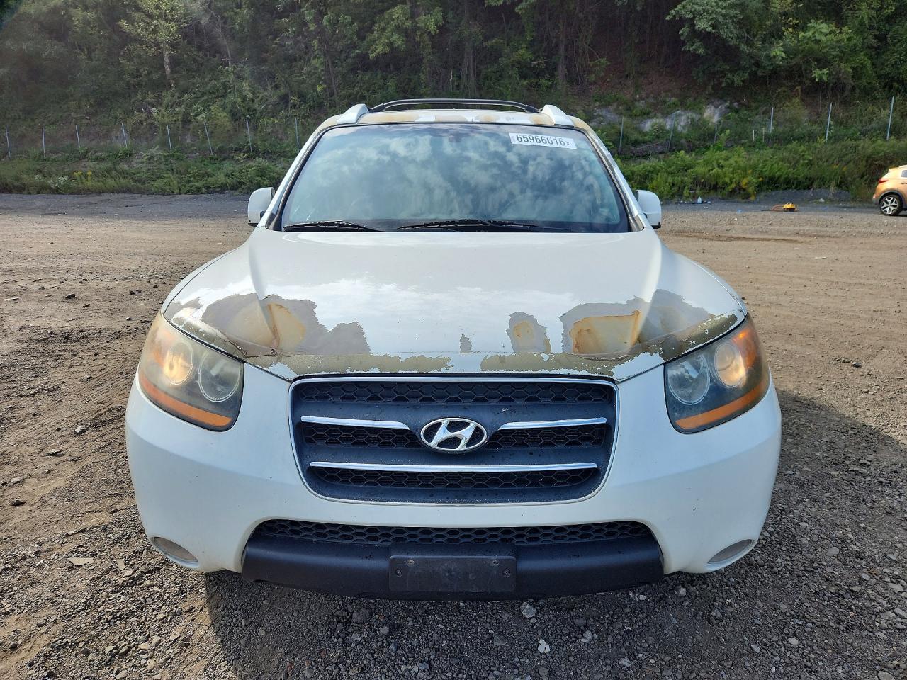 2009 HYUNDAI SANTA FE LIMITED — Фото 5 из 13