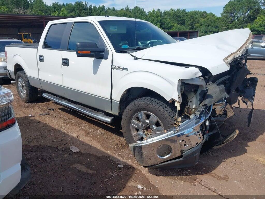 1FTEW1C84AFC87918 2010 FORD F-150 photo no. 1