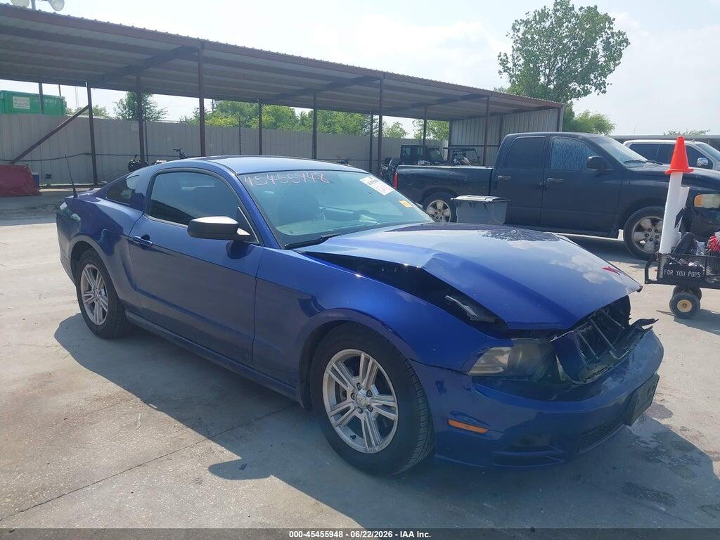 1ZVBP8AM0D5206087 2013 FORD MUSTANG photo no. 1