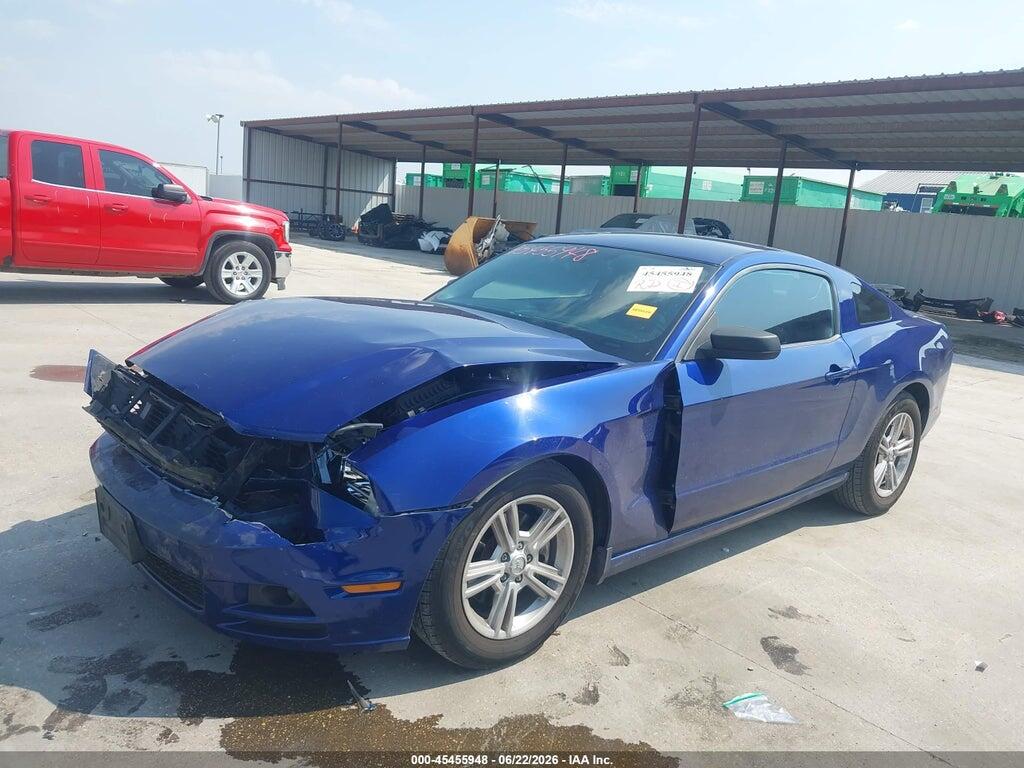 1ZVBP8AM0D5206087 2013 FORD MUSTANG photo no. 2