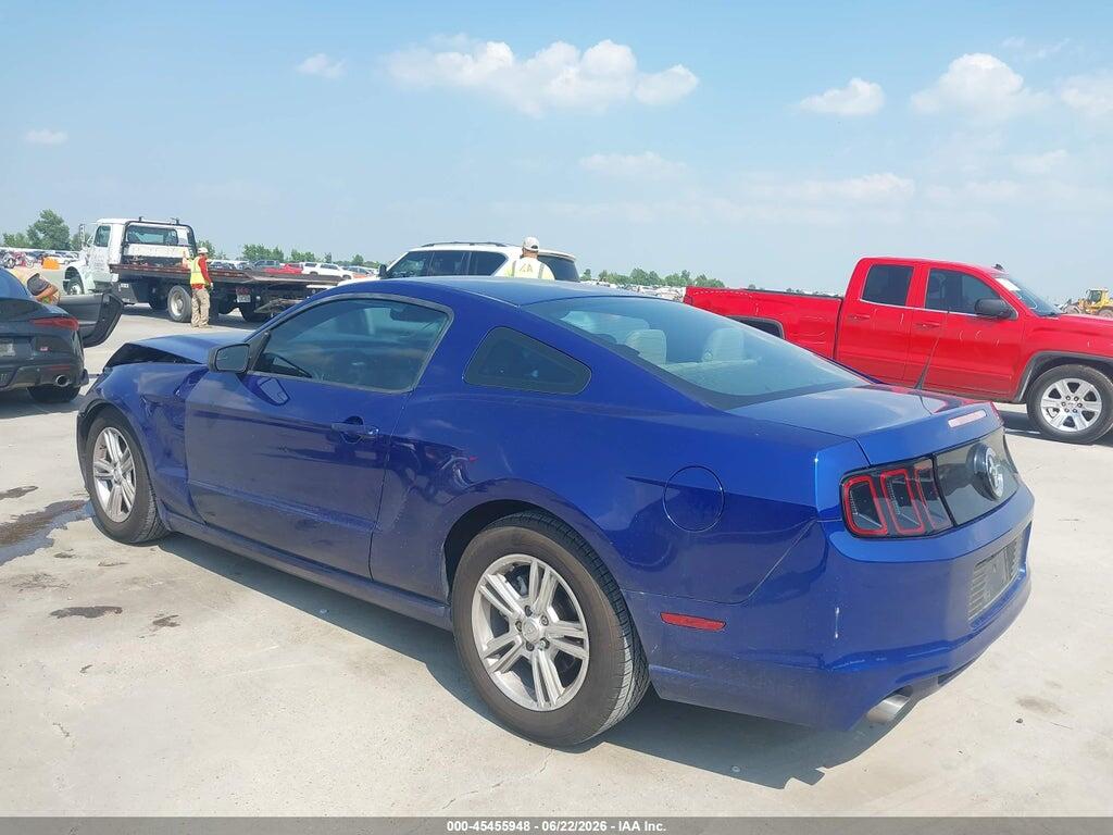 1ZVBP8AM0D5206087 2013 FORD MUSTANG photo no. 3