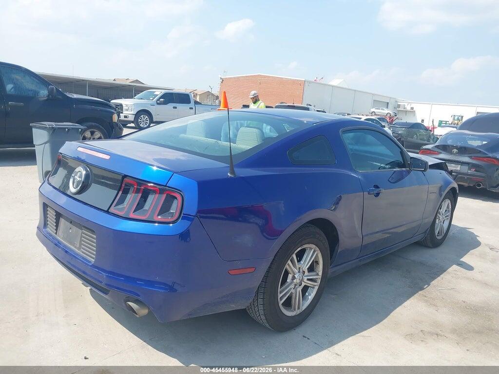 1ZVBP8AM0D5206087 2013 FORD MUSTANG photo no. 4
