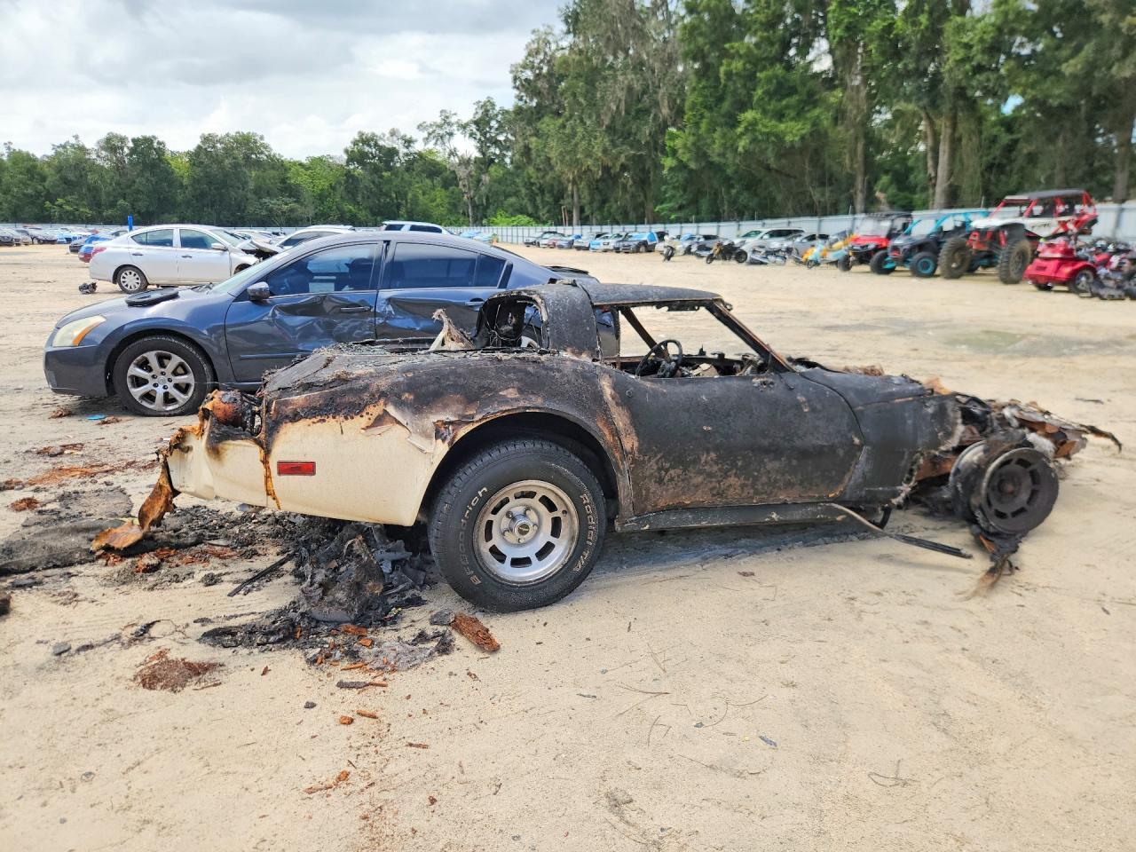 1981 CHEVROLET CORVETTE — Фото 3 из 11