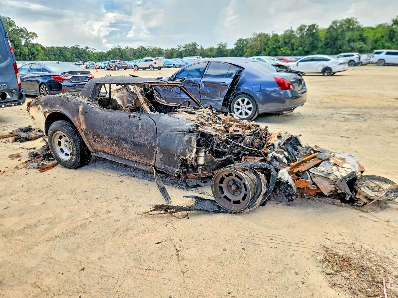 1981 CHEVROLET CORVETTE — Фото 4 из 11