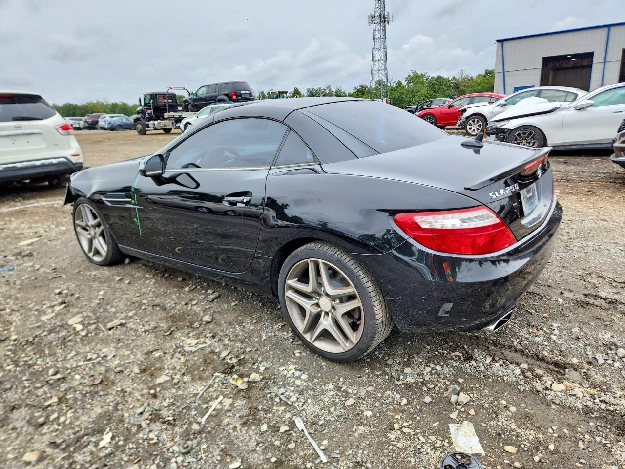 2013 MERCEDES-BENZ SLK 250 — Фото 2 из 13