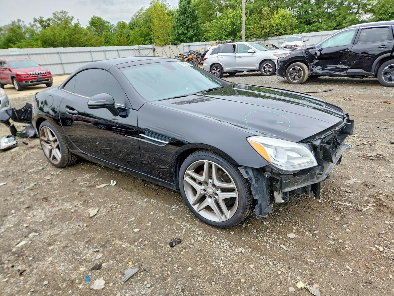 2013 MERCEDES-BENZ SLK 250 — Фото 4 из 13