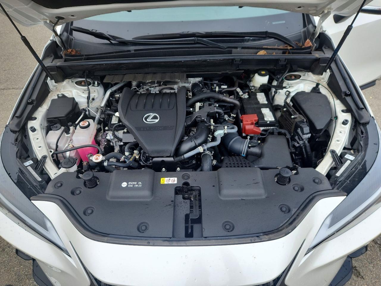 2025 LEXUS NX 350 BASE — Фото 11 из 12