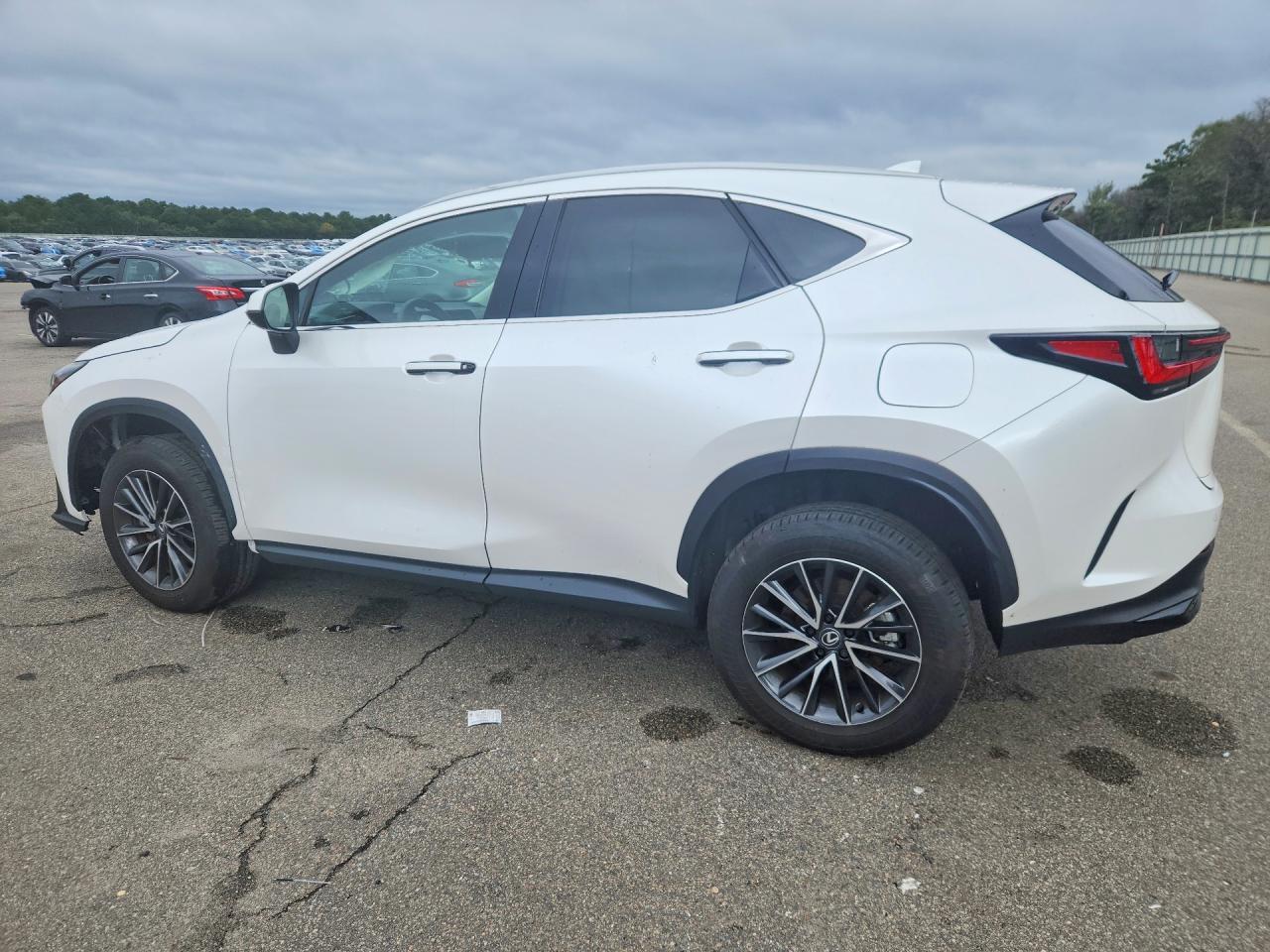 2025 LEXUS NX 350 BASE — Фото 2 из 12