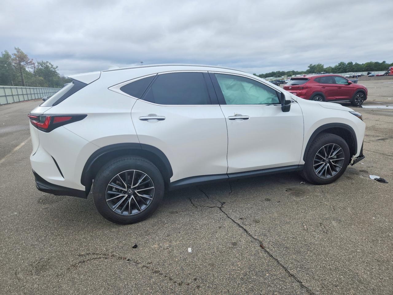 2025 LEXUS NX 350 BASE — Фото 3 из 12