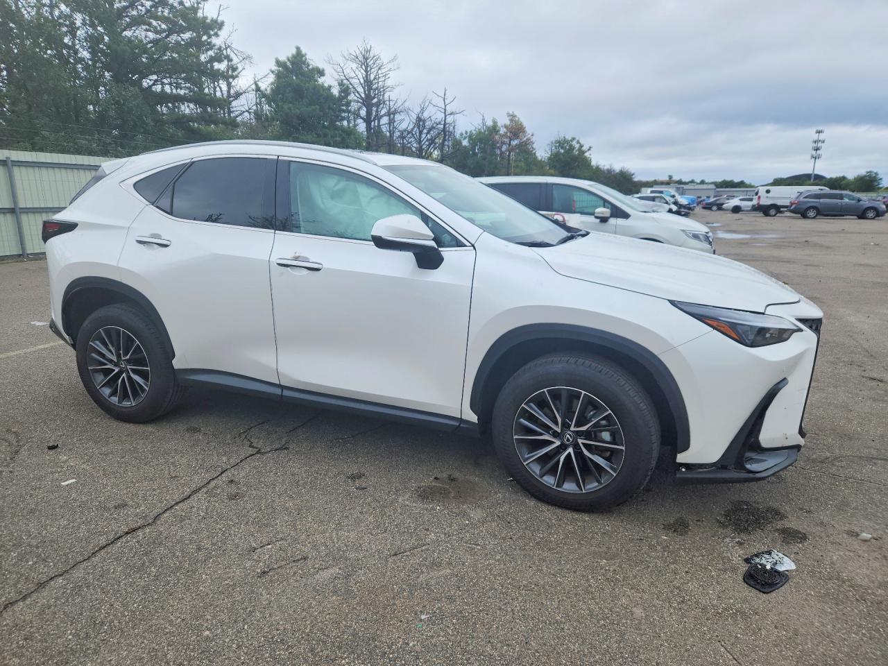 2025 LEXUS NX 350 BASE — Фото 4 из 12